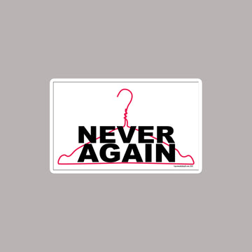 Aesthetic Never Again Vinyl Decal